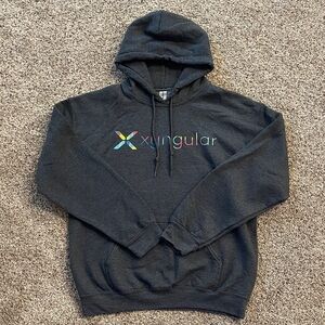 Charcoal Gildan Hoodie with Colorful Xyngular Logo size Medium